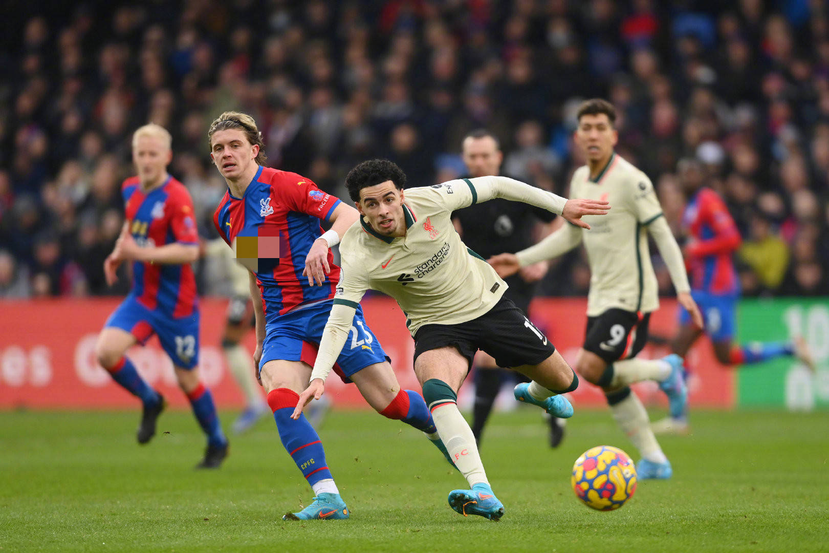 的判断帮助 的判断帮助