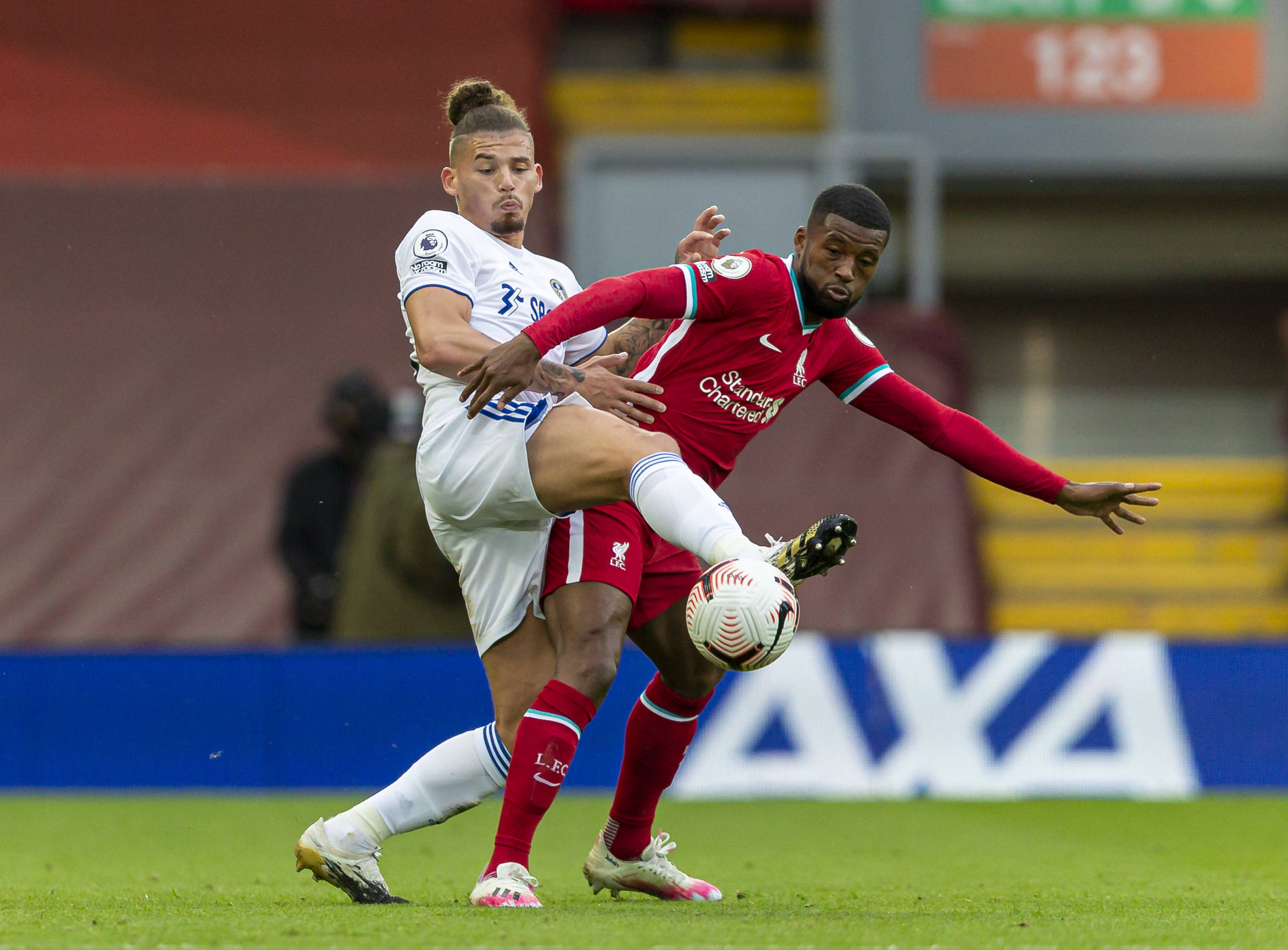 揭秘佩德里 揭秘佩德里